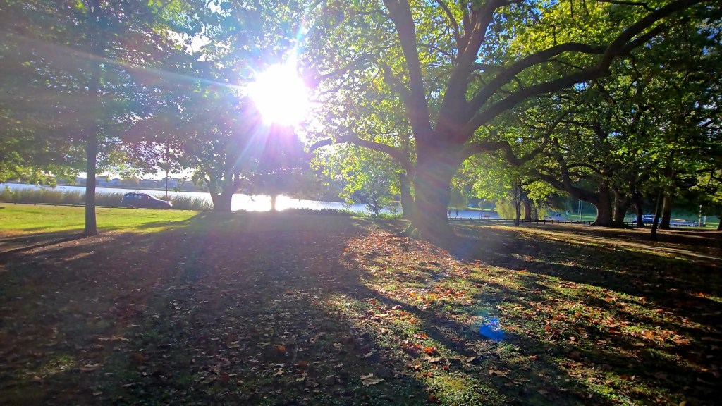 Chasing Stillness: A Weekend with&nbsp;Nature